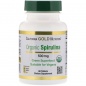 Антиоксидант California Gold Nutrition Spirulina 500 мг 60 таблеток