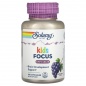  Solaray Kids Focus For Children 60  
