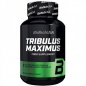 Тестобустер BioTech Tribulus Maximus 90 таблеток